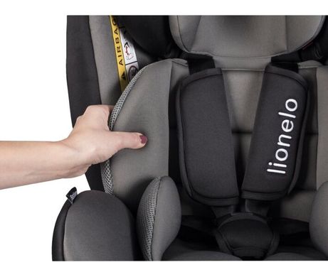 Дитяче автокрісло Lionelo Bastiaan Isofix 0-36 кг Grey (5902581656100)