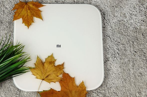 Ваги підлогові Xiaomi Mi Smart Scale 2