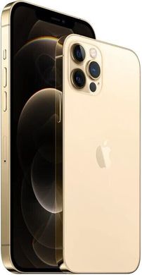Смартфон Apple iPhone 12 Pro Max 256GB Gold (MGDE3)