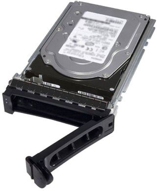 Жорсткий диск Dell 12TB 7.2K RPM NLSAS 12Gbps (401-ABHX)