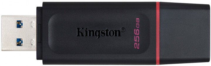 Флешка Kingston DataTraveler Exodia 256GB USB 3.2 Gen 1 Black/Pink (DTX/256GB)