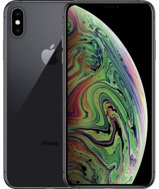 Смартфон Apple iPhone XS Max 256Gb Space Gray A2101 (EuroMobi)