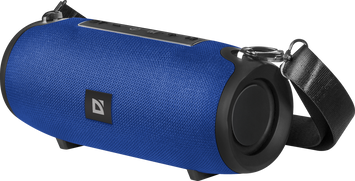 Портативная акустика Defender Enjoy S900 Blue