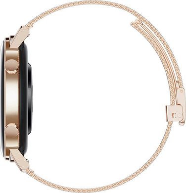 Смарт-часы Huawei Watch GT2 42mm Elegant Edition (55024610)