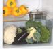 Холодильник Snaige С14SM-S6000F