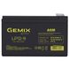 Аккумуляторная батарея Gemix (LP12-9.0)