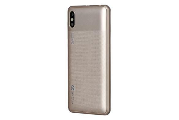 Смартфон 2E E500A 2019 Dual Sim Gold