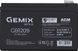 Аккумуляторная батарея Gemix 12V 9Ah Security Series AGM (GB1209)