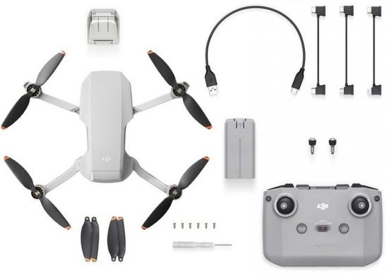 Квадрокоптер DJI Mini 2 (CP.MA.00000312.01)