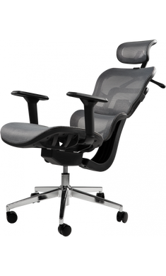 Офісне крісло для керівника GT Racer B-517M Gray