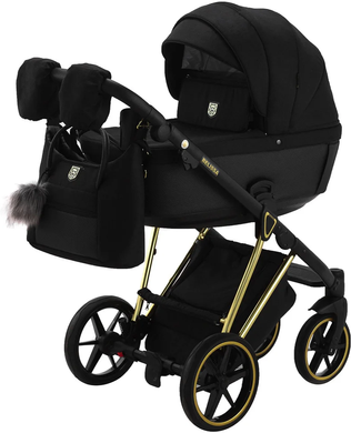 Детская коляска 2 в 1 Adamex Belissa Special Edition (Gold) PS-569 Black (625429)