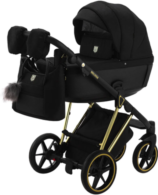 Дитяча коляска 2 в 1 Adamex Belissa Special Edition (Gold) PS-569 Black (625429)