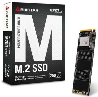 SSD накопичувач Biostar M720 256 GB (M720-256GB)