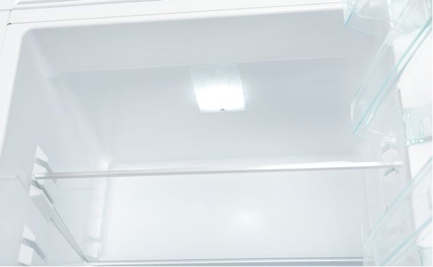 Холодильник Snaige RF31SМ-S0002E