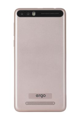 Смартфон Ergo B501 Maximum Gold