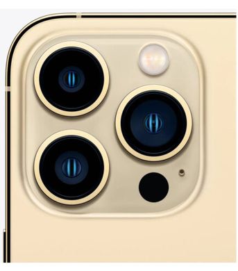 Смартфон Apple iPhone 13 Pro Max 1TB Gold (MLLM3)