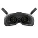 FPV очки DJI Goggles 2 Motion Combo