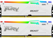 Оперативна пам'ять Kingston Fury DDR5-5200 32768MB PC5-41600 (Kit of 2x16384) Beast RGB White (KF552C40BWAK2-32)