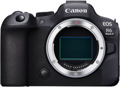 Фотоапарат Canon EOS R6 Mark II Body (5666C031)