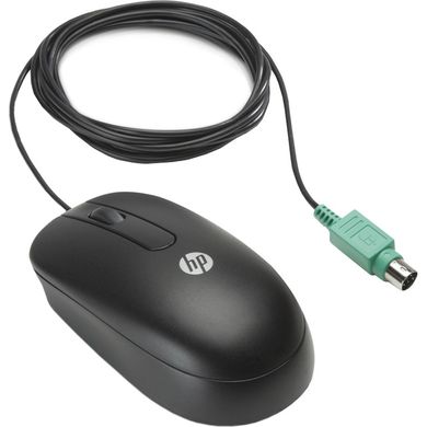 Мышь HP Optical Scroll Black (QY775AA)