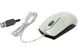 Миша A4Tech OP-720 White USB