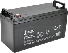 Аккумулятор для ИБП Europower AGM EP12-100M8