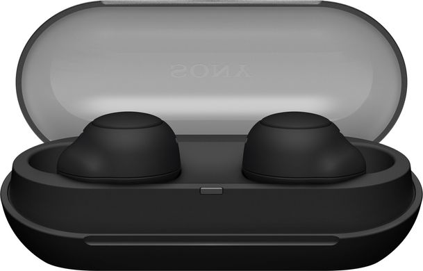 Наушники Sony WF-C500 Black (WFC500B.CE7)