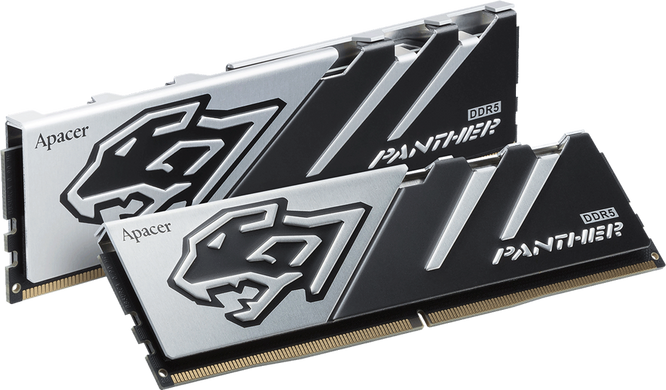 Оперативна пам'ять Apacer 16 GB DDR5 6000 MHz Panther (AH5U16G60C5127BAA-1)