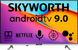 Телевізор Skyworth 32E20 AI