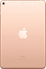 Планшет Apple iPad mini 5 Wi-Fi+4G 256Gb (MUXE2RK/A) Gold