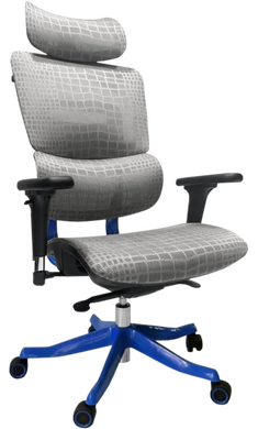 Комп'ютерне крісло для геймера GT Racer X-626 Gray/Blue