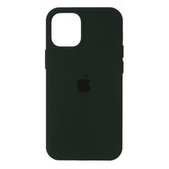 Чехол Original Silicone Case для Apple iPhone 12 Pro Max Cyprus Green (ARM57610)