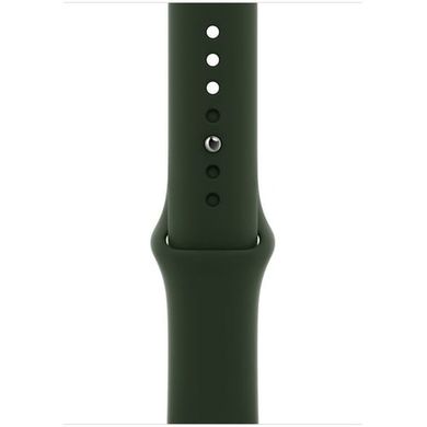 Смарт-годинник Apple Watch Series 6 GPS + Cellular 40mm Gold Stainless Steel Case with Cyprus Green Sport Band (M02W3)