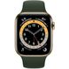 Смарт-годинник Apple Watch Series 6 GPS + Cellular 40mm Gold Stainless Steel Case with Cyprus Green Sport Band (M02W3)