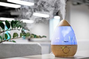 Осушитель или увлажнитель воздуха? Осушитель или увлажнитель воздуха?