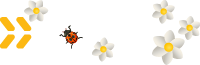 Zhuk